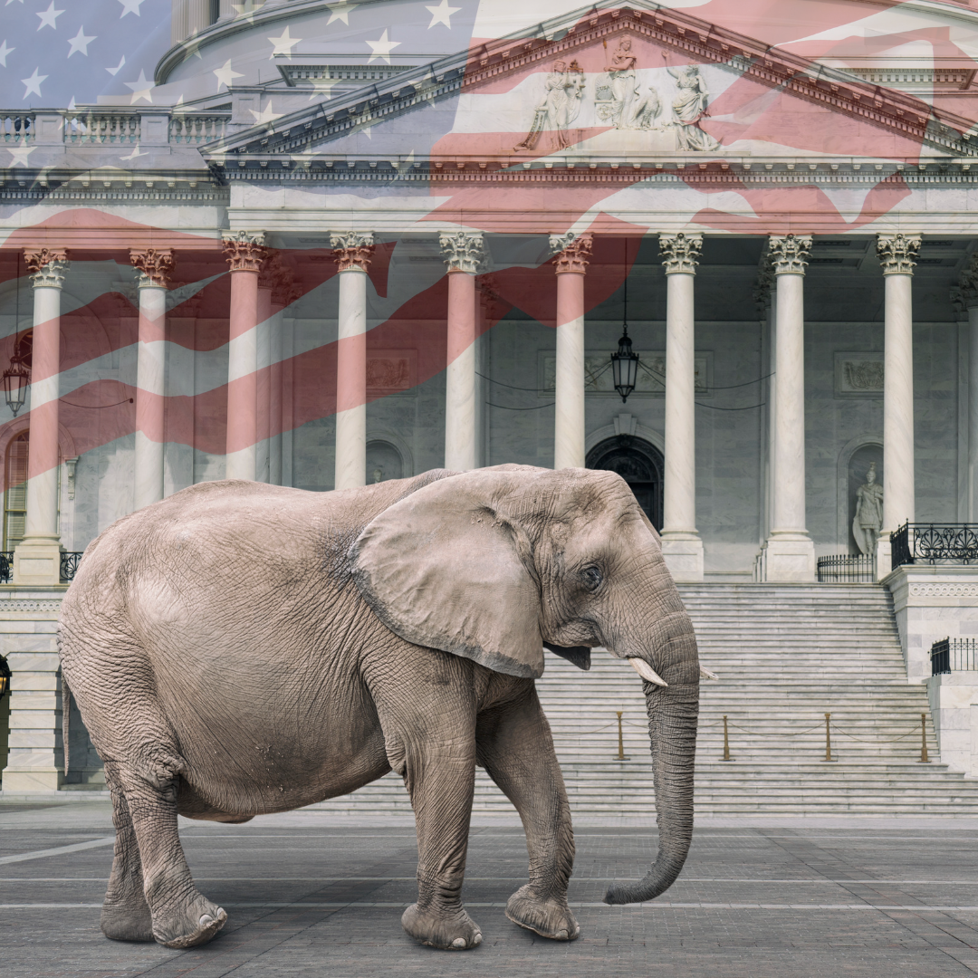 Why The Republican Party Is Losing Races It Shouldn't